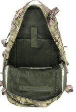 Олива